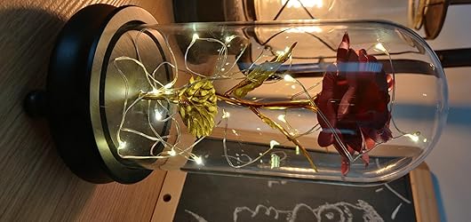 PanDaDa Rose Plaqué Or 24K,“La Belle Et La Bête Rose”,Rose Eternelle