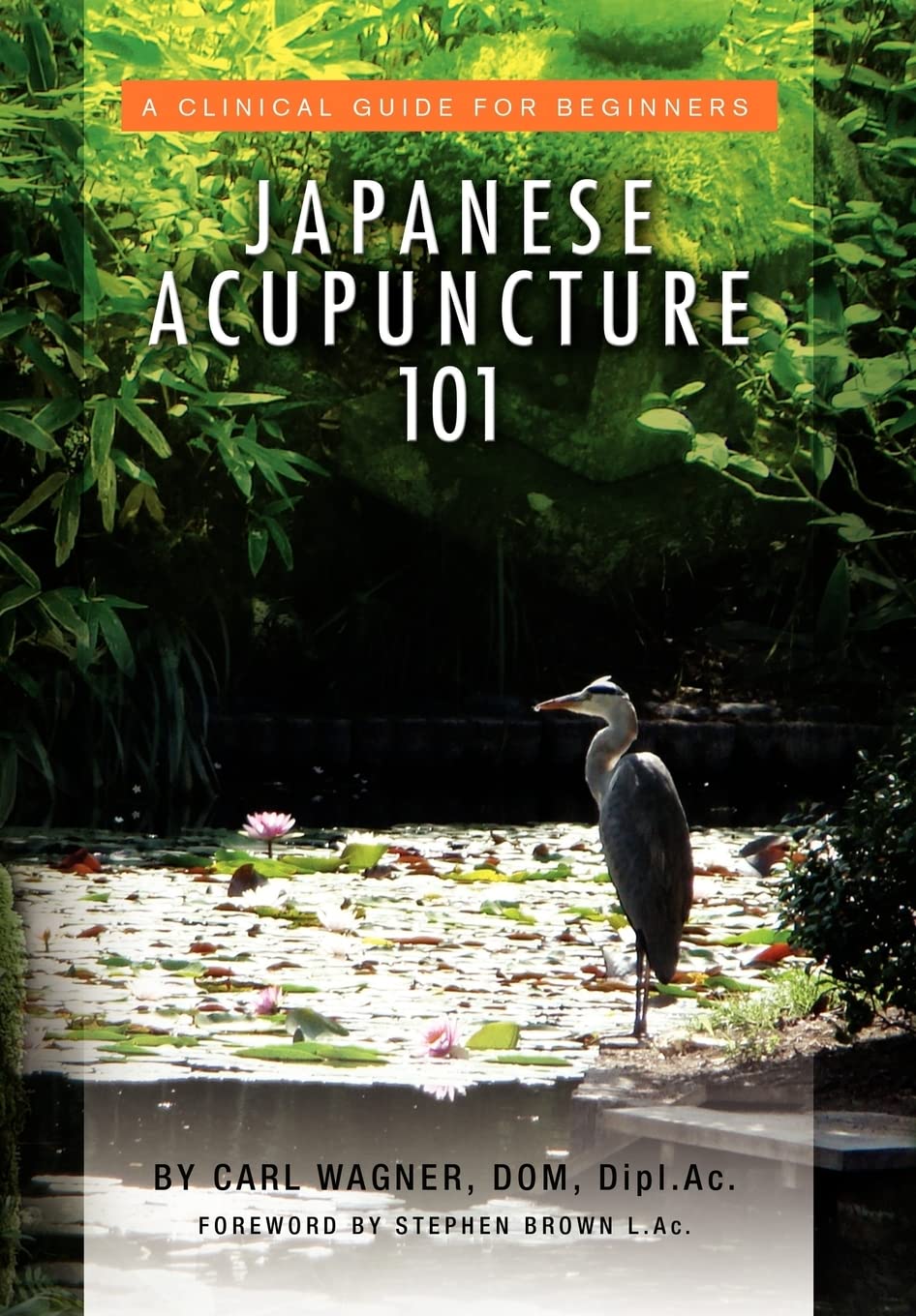 Japanese Acupuncture 101: A Clinical Guide for Beginners