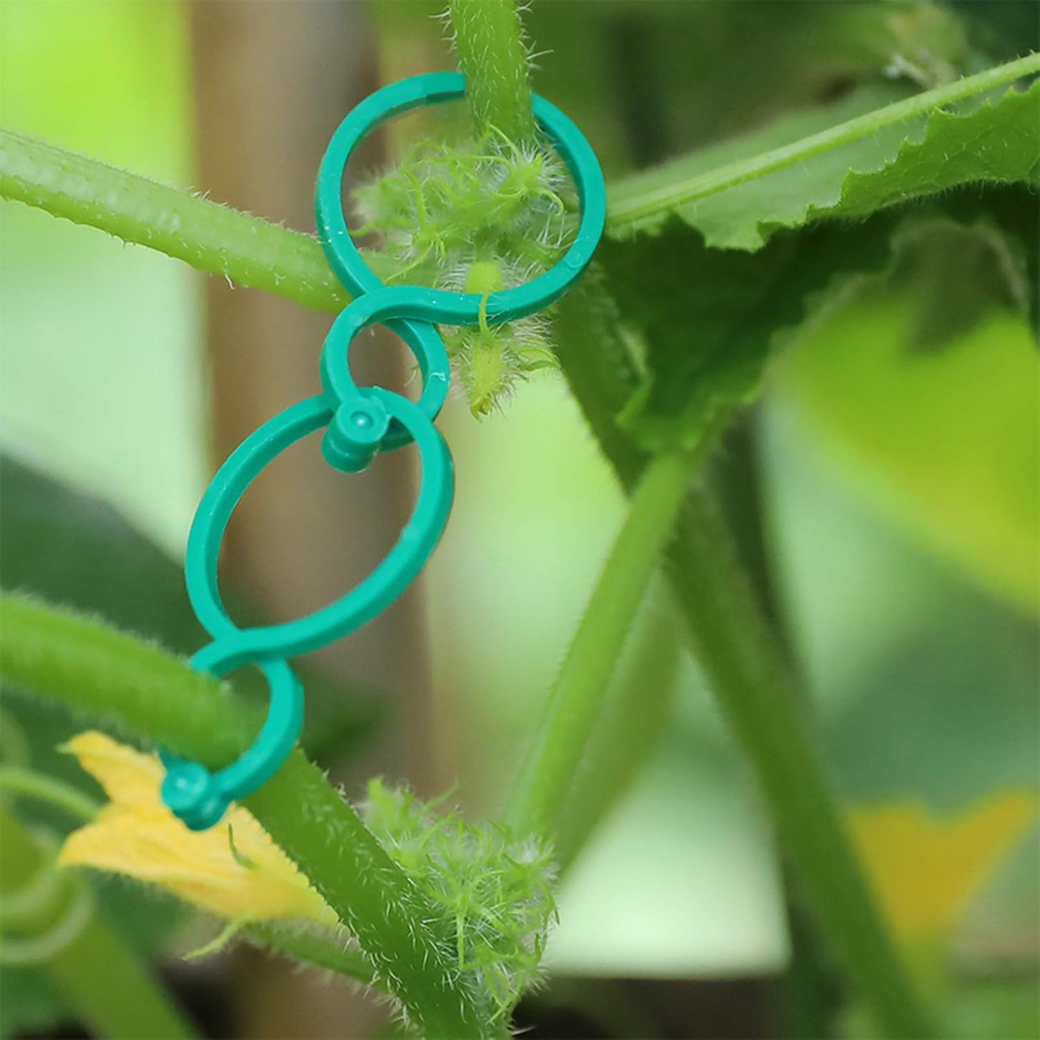 36Pcs Tomato Cage Connector Kits 16mm Stake Arms for Plant Cage, Green Trellis Connectors Stake Arms with 80 Garden Plant Clips Plant Locks Twisty Plant Rings