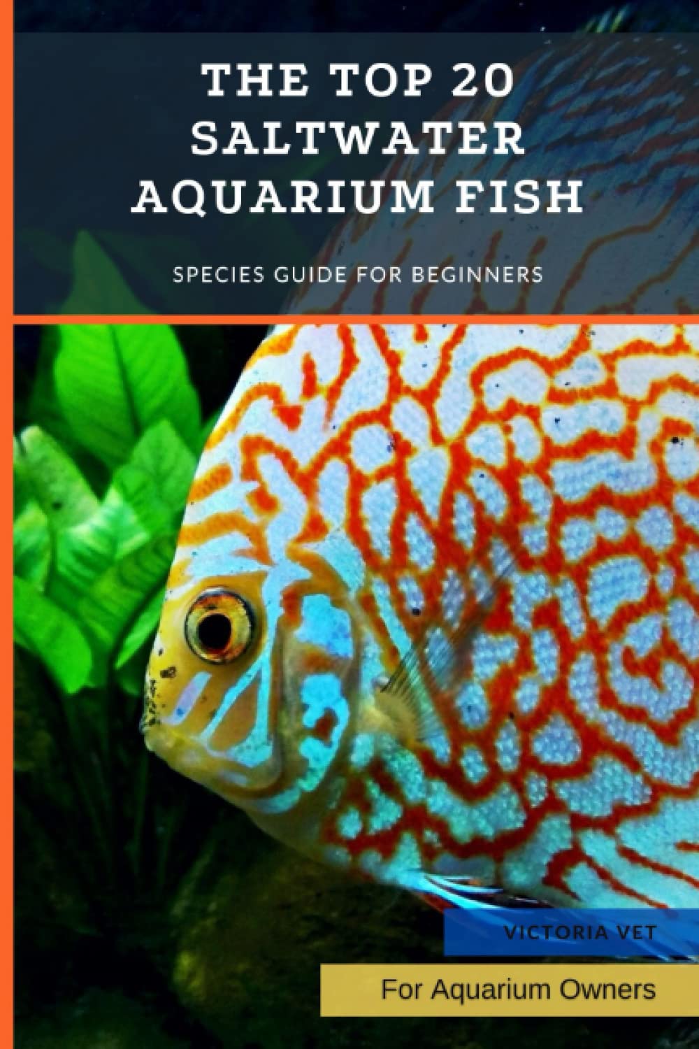 The Top 20 Saltwater Aquarium Fish: Species Guide for Beginners