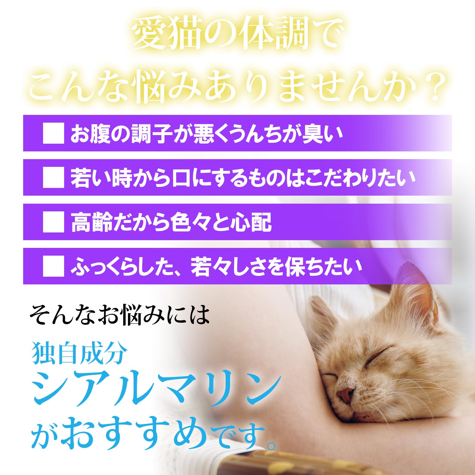 Amazon.co.jp: 猫用【腎臓 食欲 腸内環境】メディカルワン クリーミー