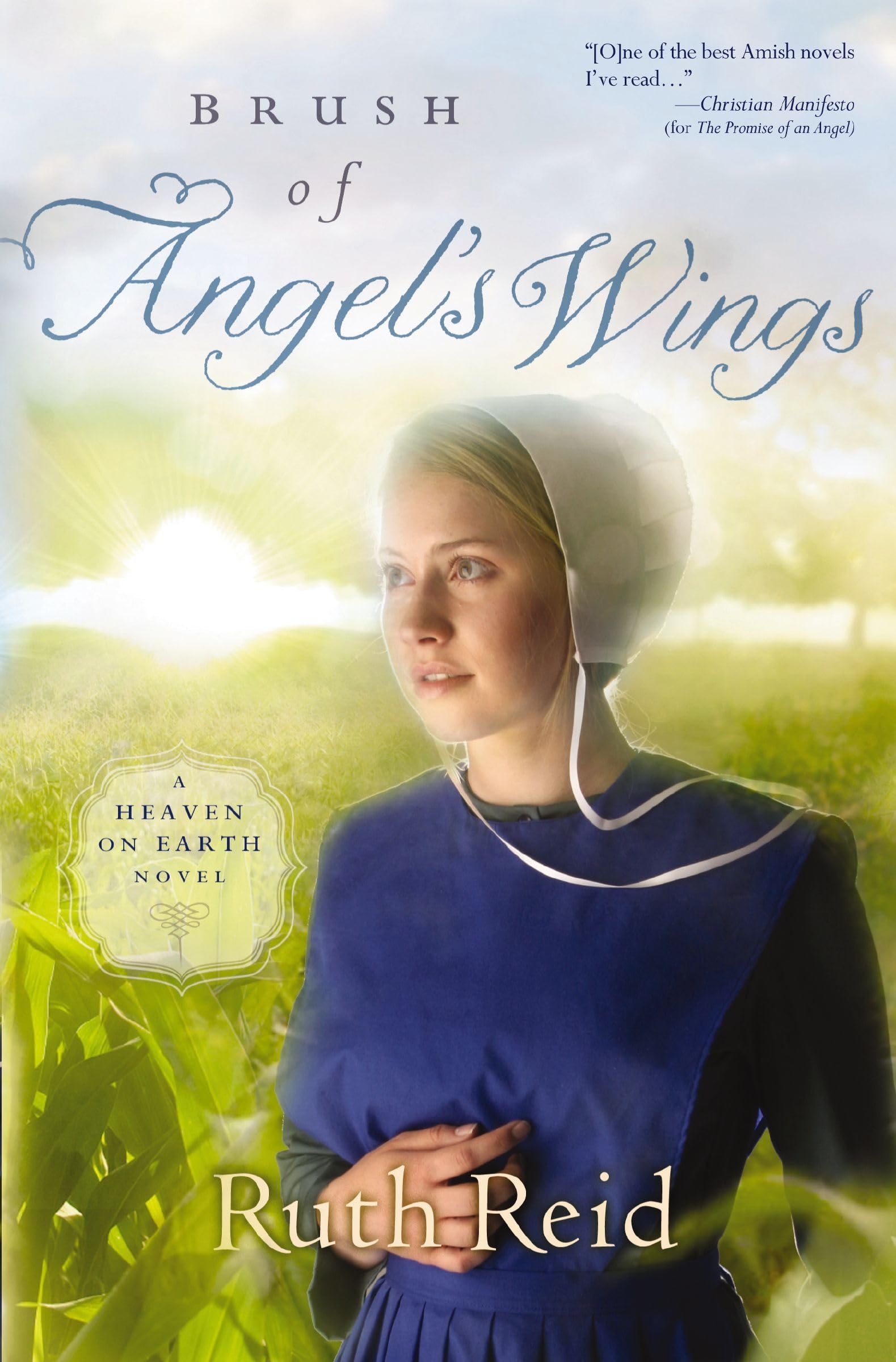 Brush of Angel's Wings (A Heaven On Earth Novel)
