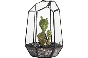 Small Geometric Black Terrarium Side Table