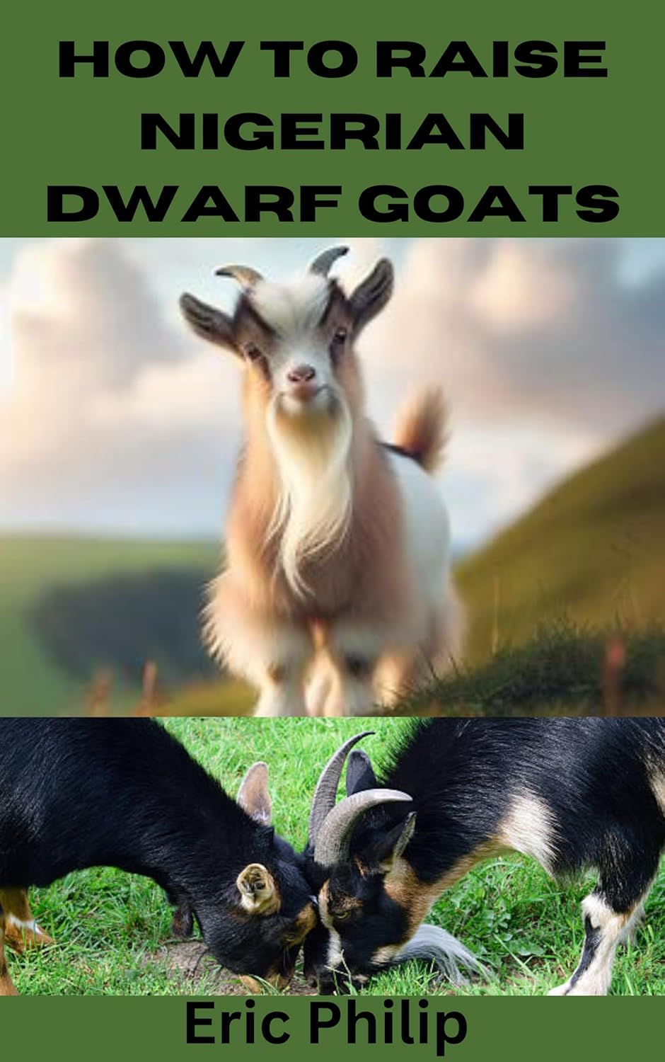 HOW TO RAISE NIGERIAN DWARF GOATS Complete Step By Step