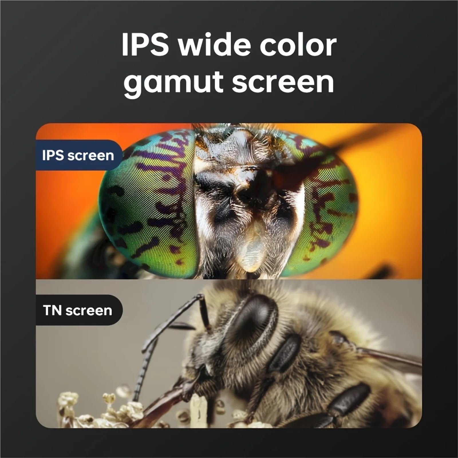 Digitales Mikroskop. Digitales Mikroskop 4,3 Zoll 1000X Vergrößerung IPS-LCD Tragbar