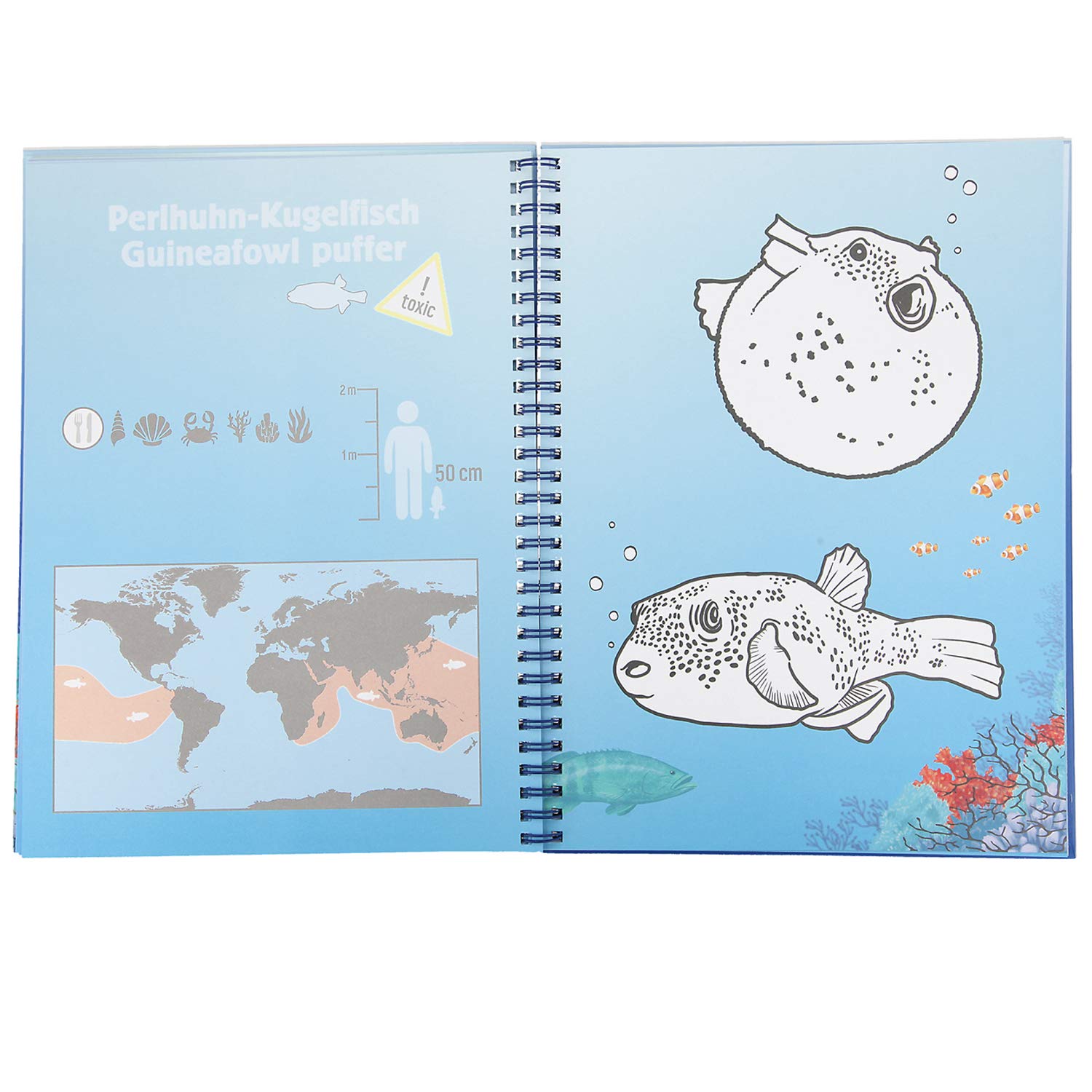 Depesche Livre de coloriage avec 7 feutres Dino World Underwater, Environ 27 x 20,6 x 2,5 cm