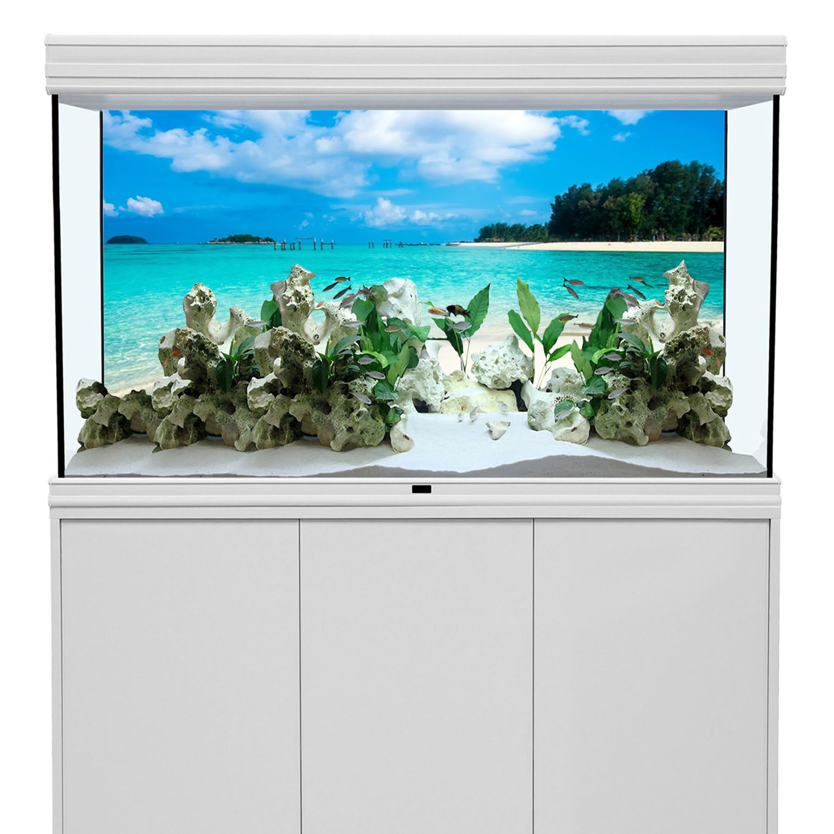 View 2
