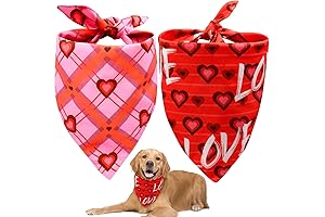 Valentines Dog Bandanas: Express Your Pet's Love in Style