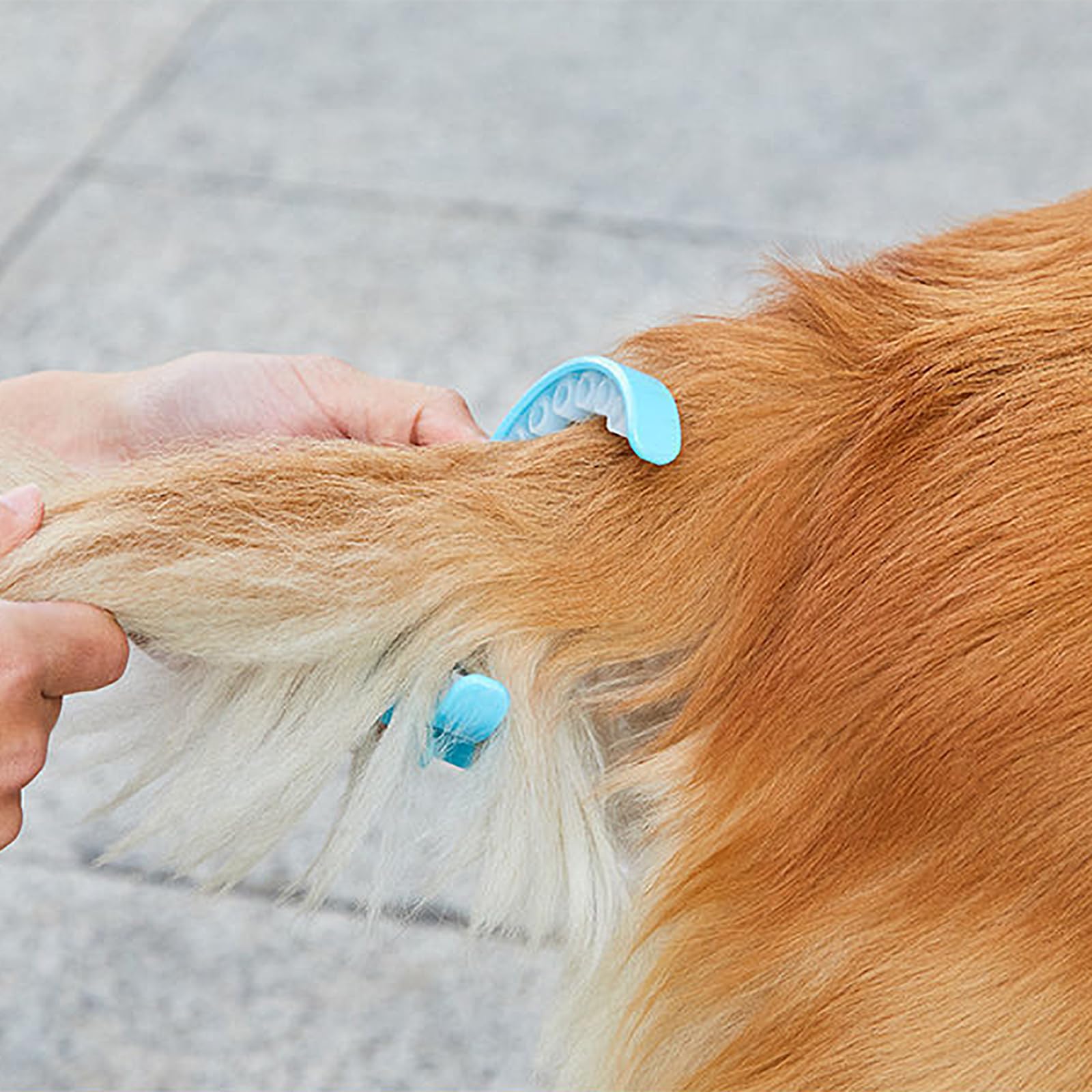 Hundekotbeutel, Toilettenhalter Für Hundetraining Mit Clip-Design, Austauschbarer Kotbeutel, Umweltfreundlich Und Spritzwassergeschützt, Für Drinnen, Draußen, Zum Ausgehen, Spazierengehen