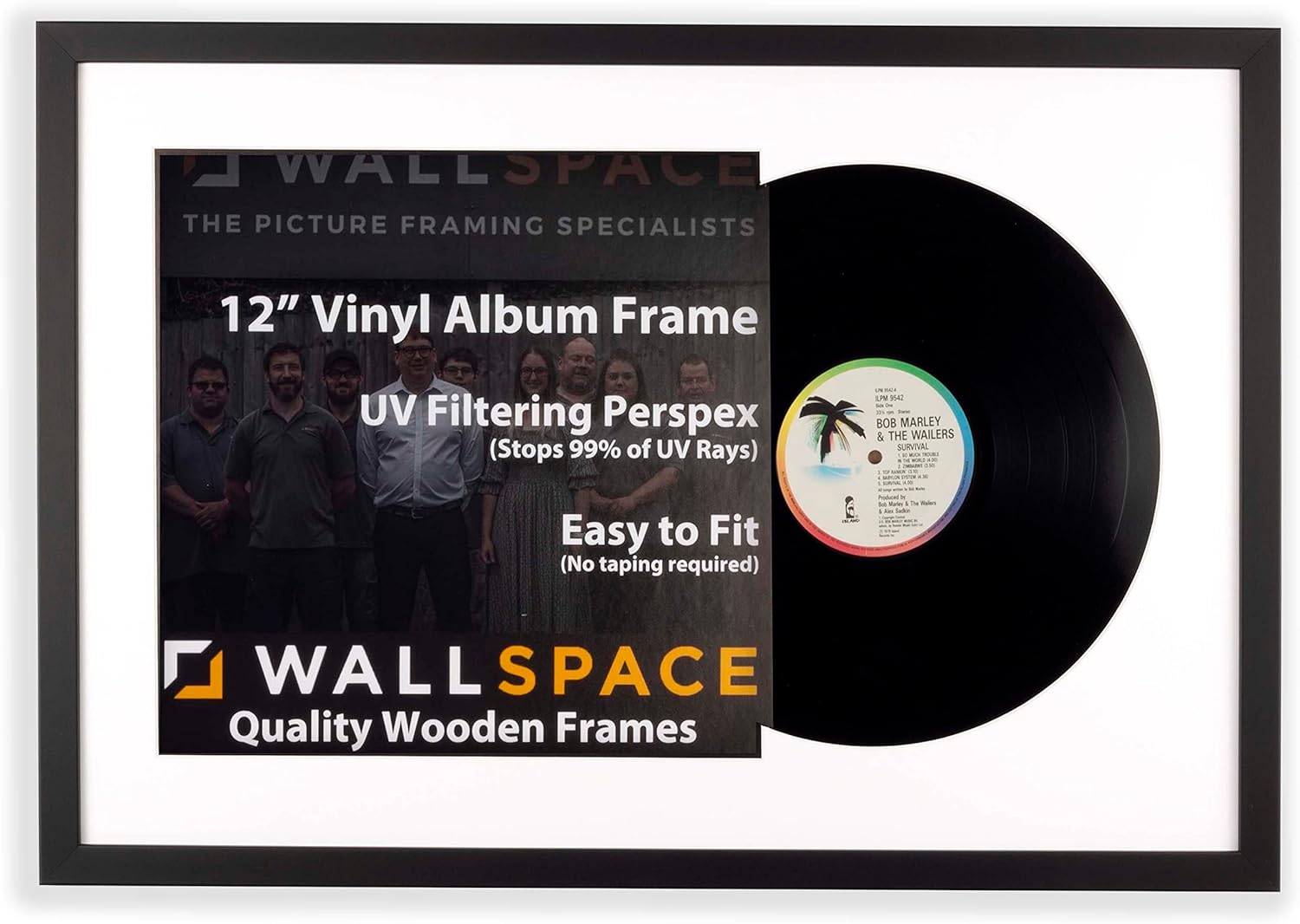 Buy Wall Space Vinyl Frame Vinyl Record Storage UV FILTERING