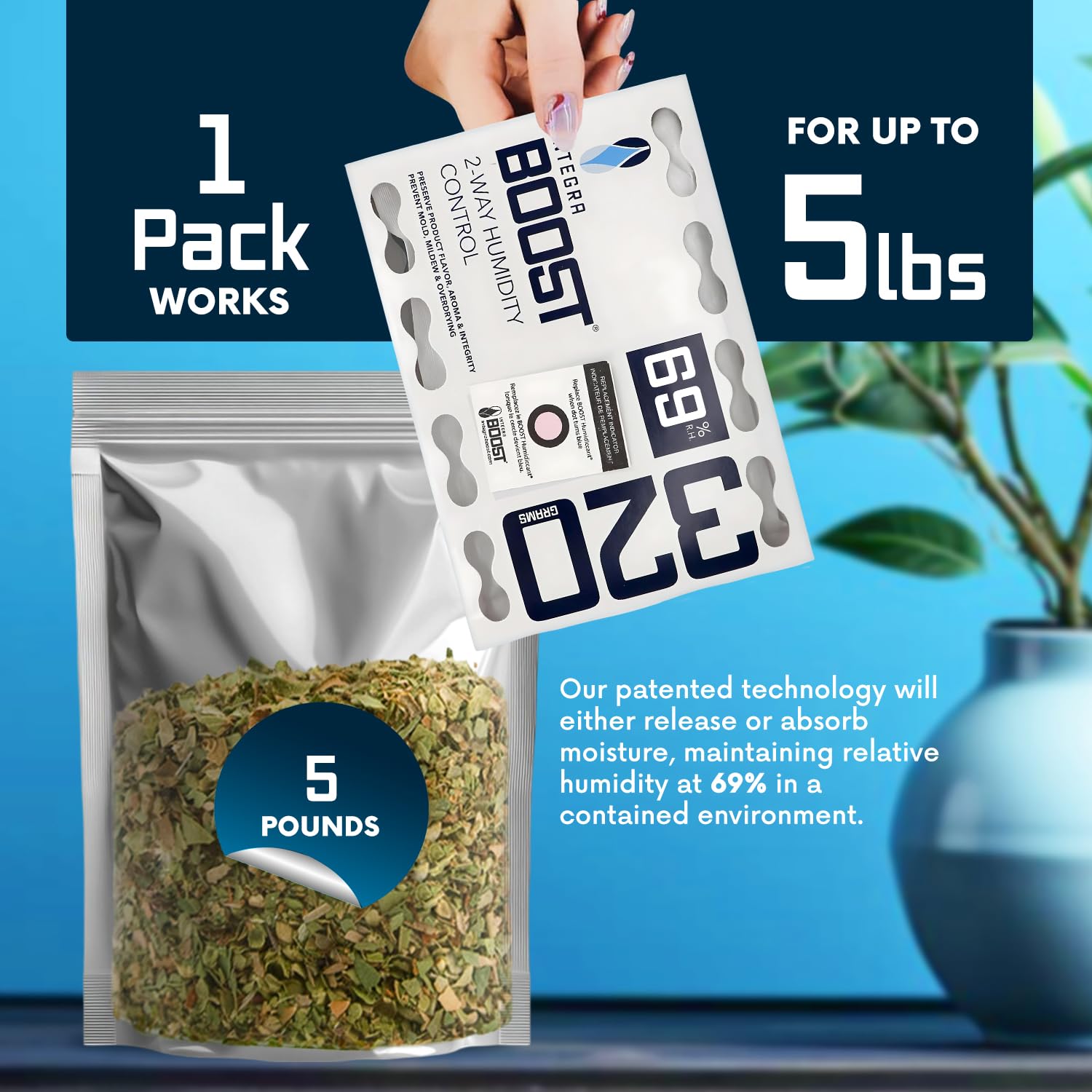 Amazon.com: Integra Boost 69% RH, 2 Way Humidity Control Packs – 320g Size  for Storing 80oz – Pack of 1