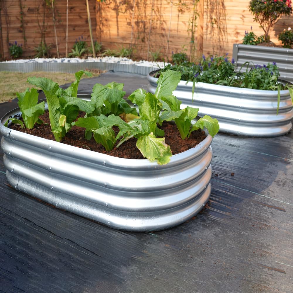 4x2x1ft Galvanized Raised Garden Bed Outdoor, 2-Pack 12" Tall Metal Raised Beds for Gardening, Planter Boxes for Plants Vegetables, Flowers, Herbs & Tomato, Bottomless Elevated Garden Beds Kit, Silver