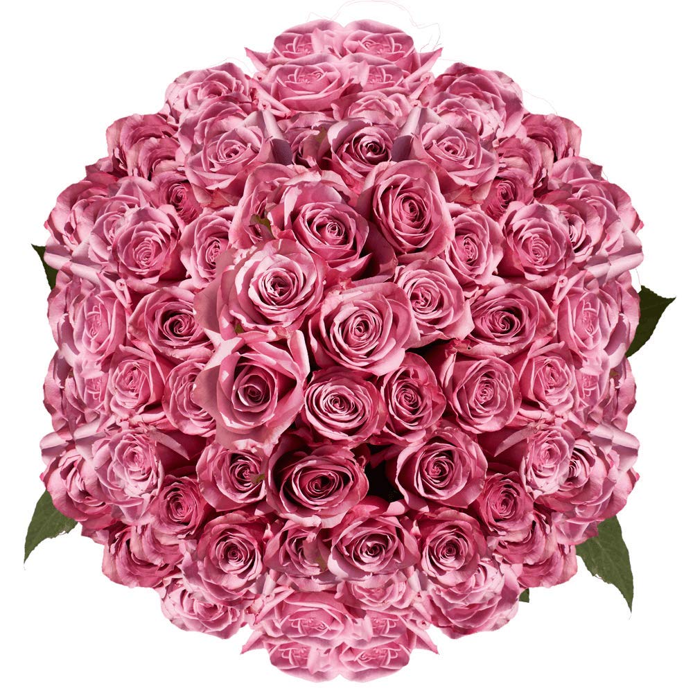 GlobalRose 200 Fresh Cut Lavender Roses - Cool Water Roses - Fresh Flowers Wholesale Express Delivery