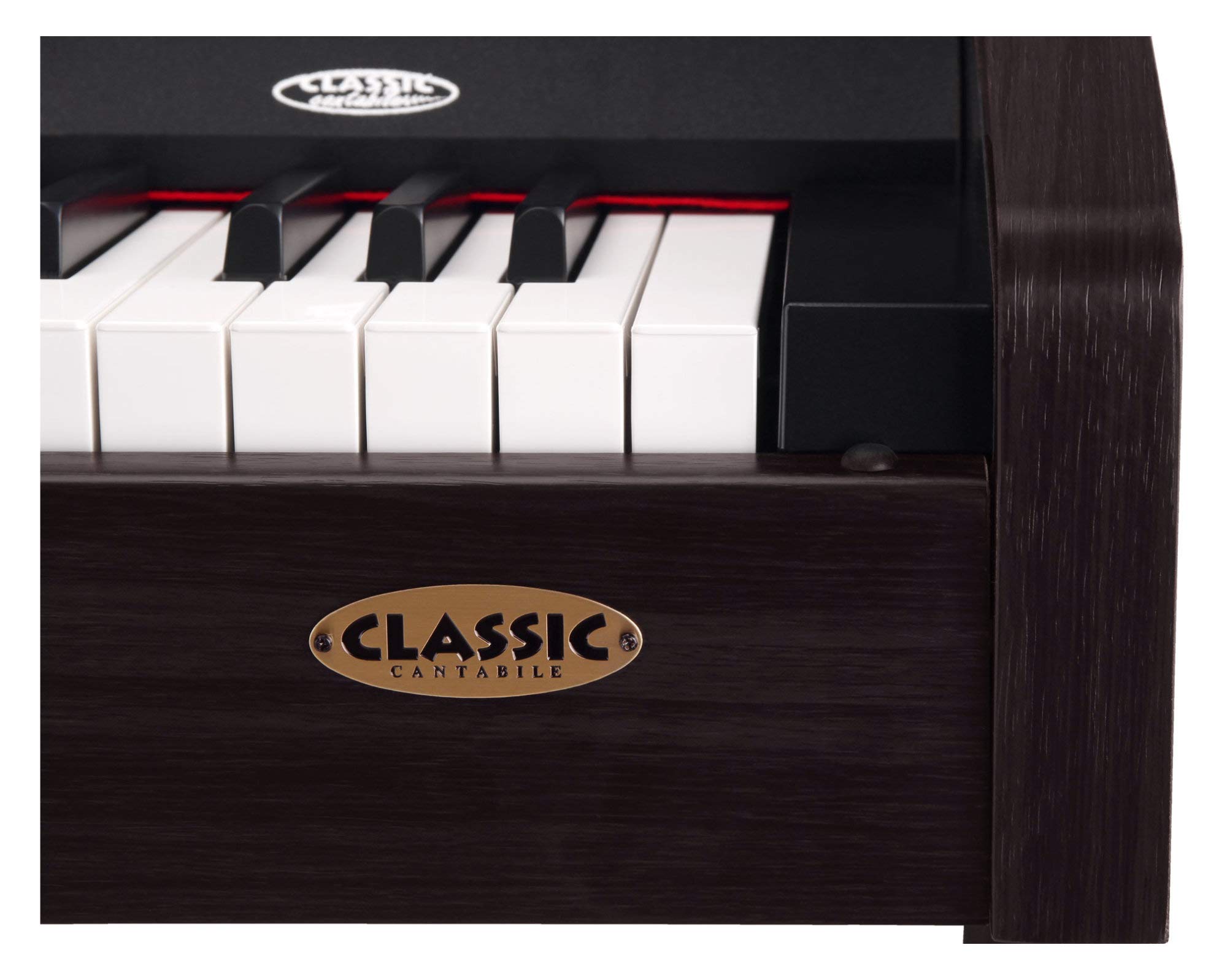 Classic Cantabile DP-210 RH E-Piano SET inkl. Bank, Kopfhörer, Schule (Digitalpiano 88 Tasten Hammermechanik, Kopfhöreranschlüsse, USB, Metronom, 3 Pedale, Piano für Anfänger, inkl. Noten) Rosenholz