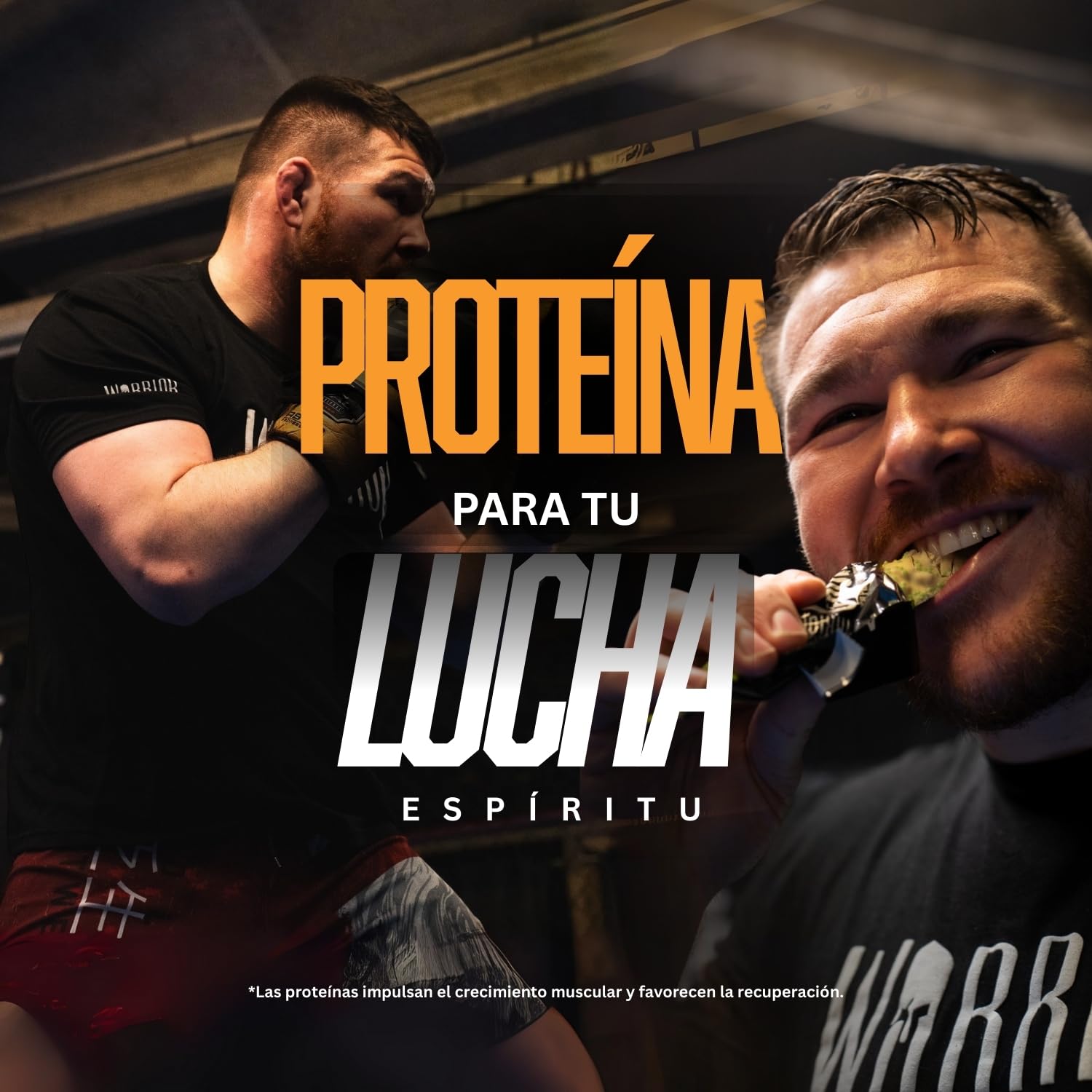 Warrior Crujiente Alto Valor Proteico Baja Carb Bar, 64 G, SALADO caramelo, paquete 12