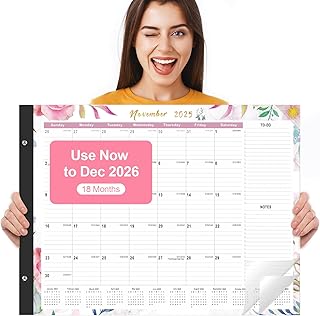 Gannyfer Desk Calendar 2026-18 Month Large Desk Calendar, Use Now to Dec 2026, 22" x 17" Desktop Pad Calendar, Office Supplies Perfect for Planning and Organizing In Your Home, School or Office