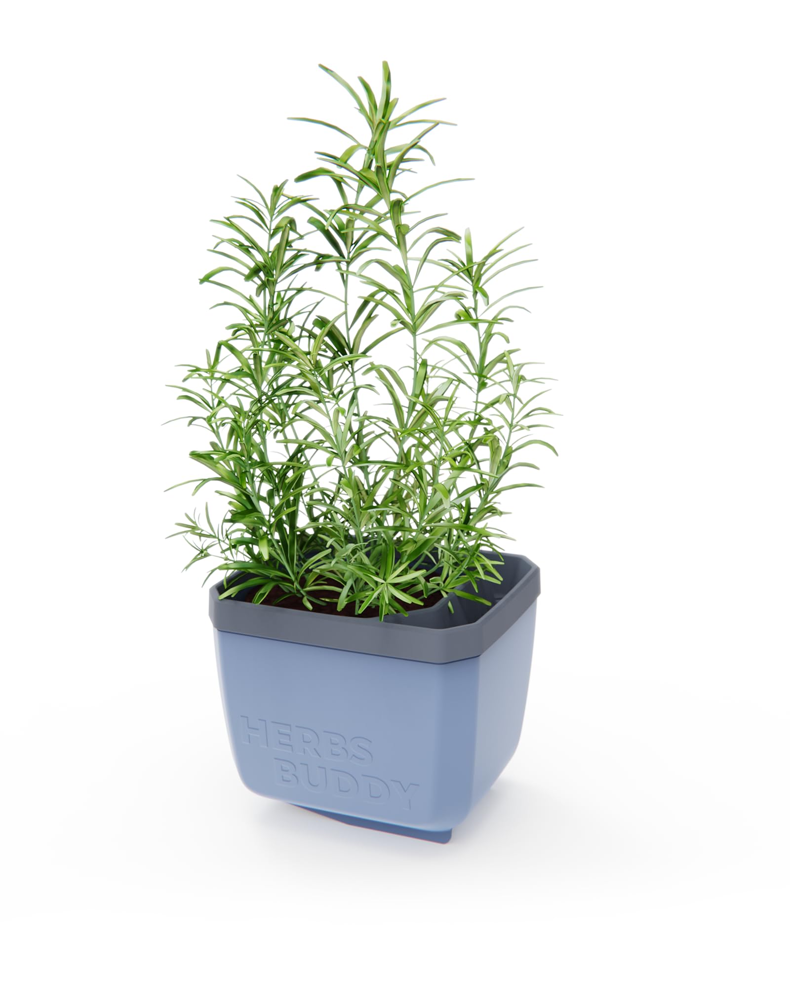 Gusta Garden Blue Herbs Buddy Self-Watering Pot & Herb Pot For Kitchen & Windowsill, Ideal For Basil, Water Tank, Water Level Indicator (1, )