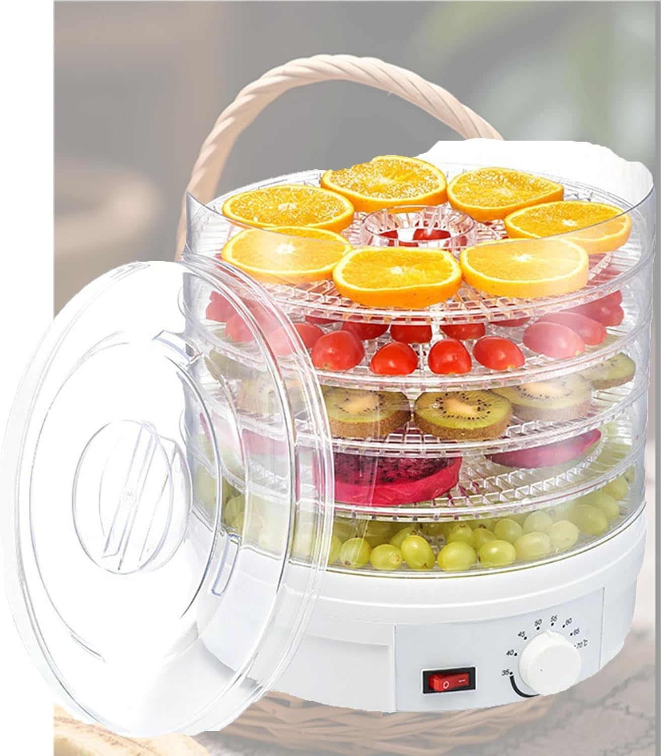 Compact Food Dehydrator with Temperature Control - Ideal for Fruits, Veggies, Dog & Cat Treats, and Candy - Exquisite Design for Home Use