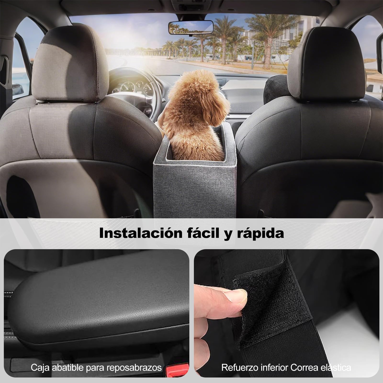 Ergocar Asiento Pequeño de Coche para Mascotas Seguridad para un Peso Inferior a 6 kg, Suave Lavable Desmontable Portátil Asiento Elevador de Coche para Gatos & Perros-Blanco