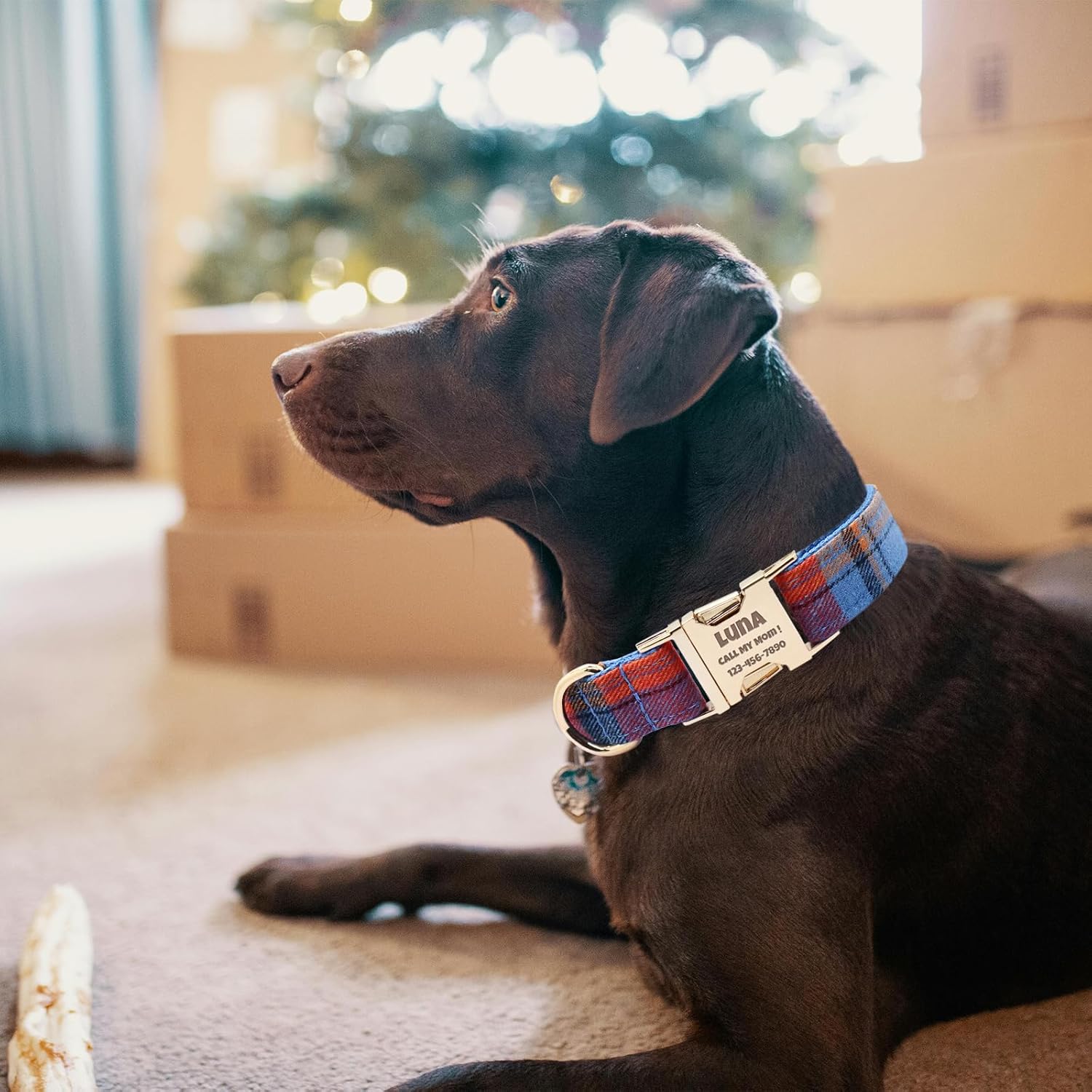 Custom Dog Collar with Name and Phone Numbers - Personalized Laser-Engraved Plaid Polyester Collar with Metal Buckle and D-Ring (Style-K, L (13-20 Inches))