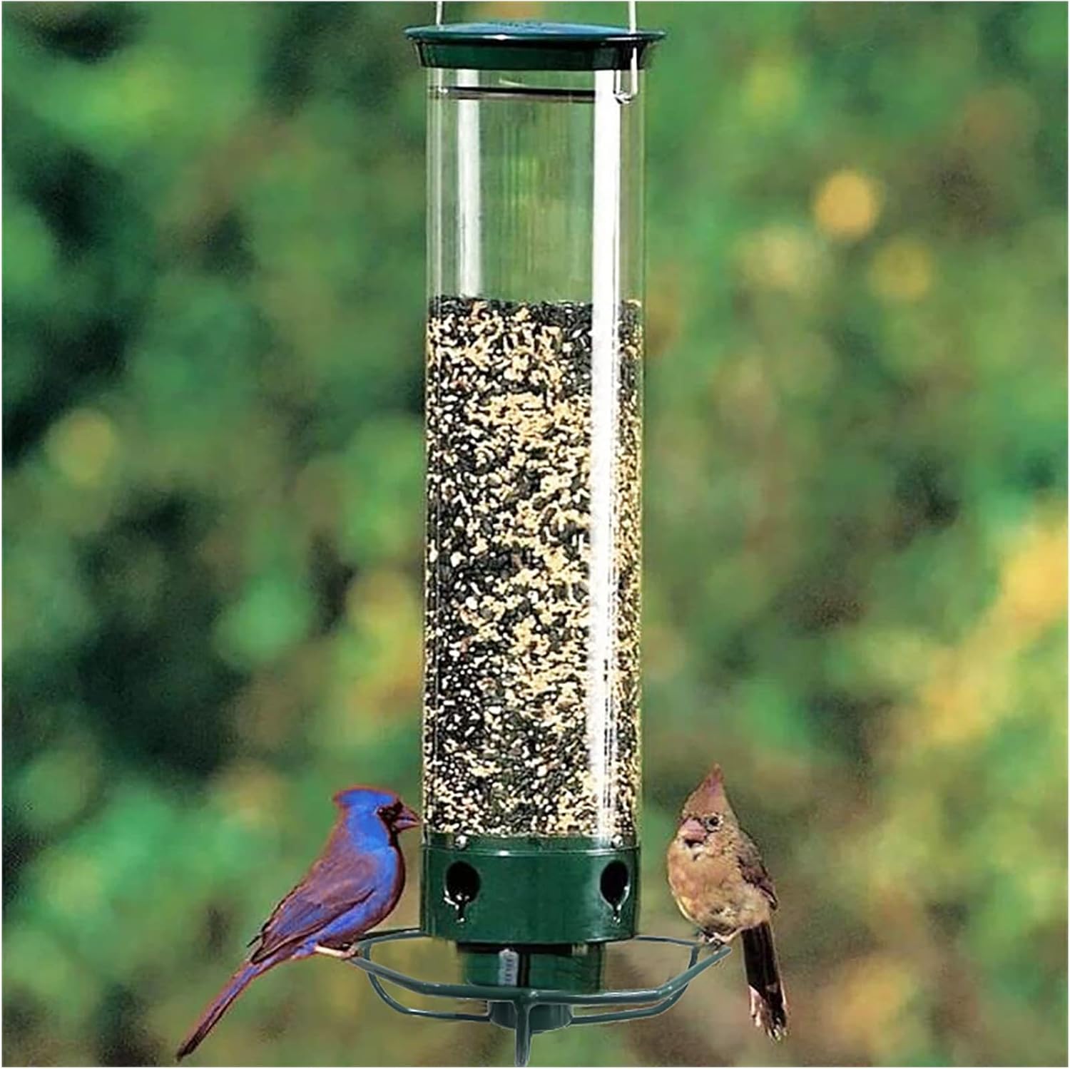 Squirrel-Proof Spinning Wild Bird Feeder with Weight Activated Rotating