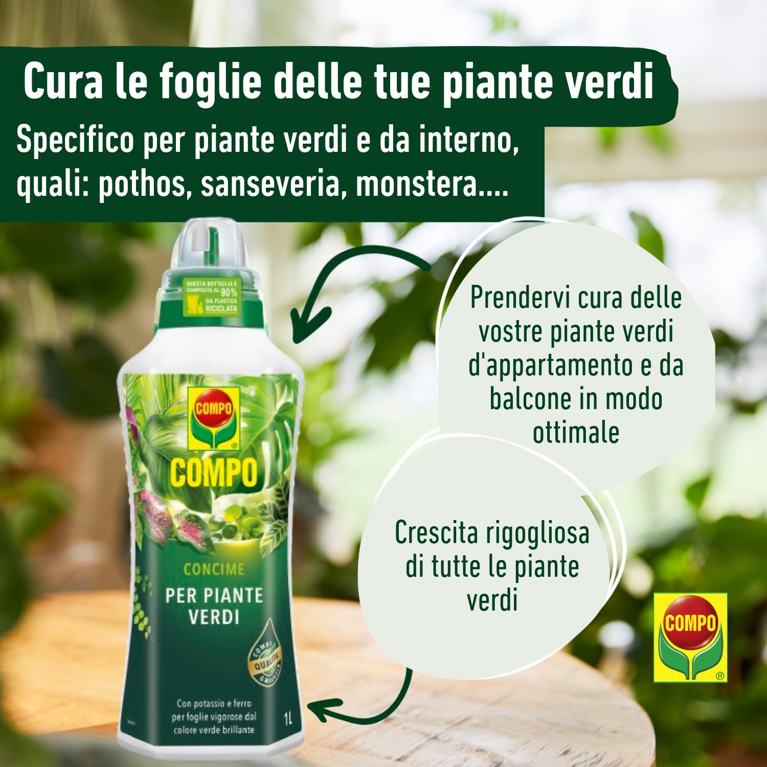 COMPO liquid fertilizer for green plants 1l - liquid fertilizer plants :  Amazon.com.be: Garden