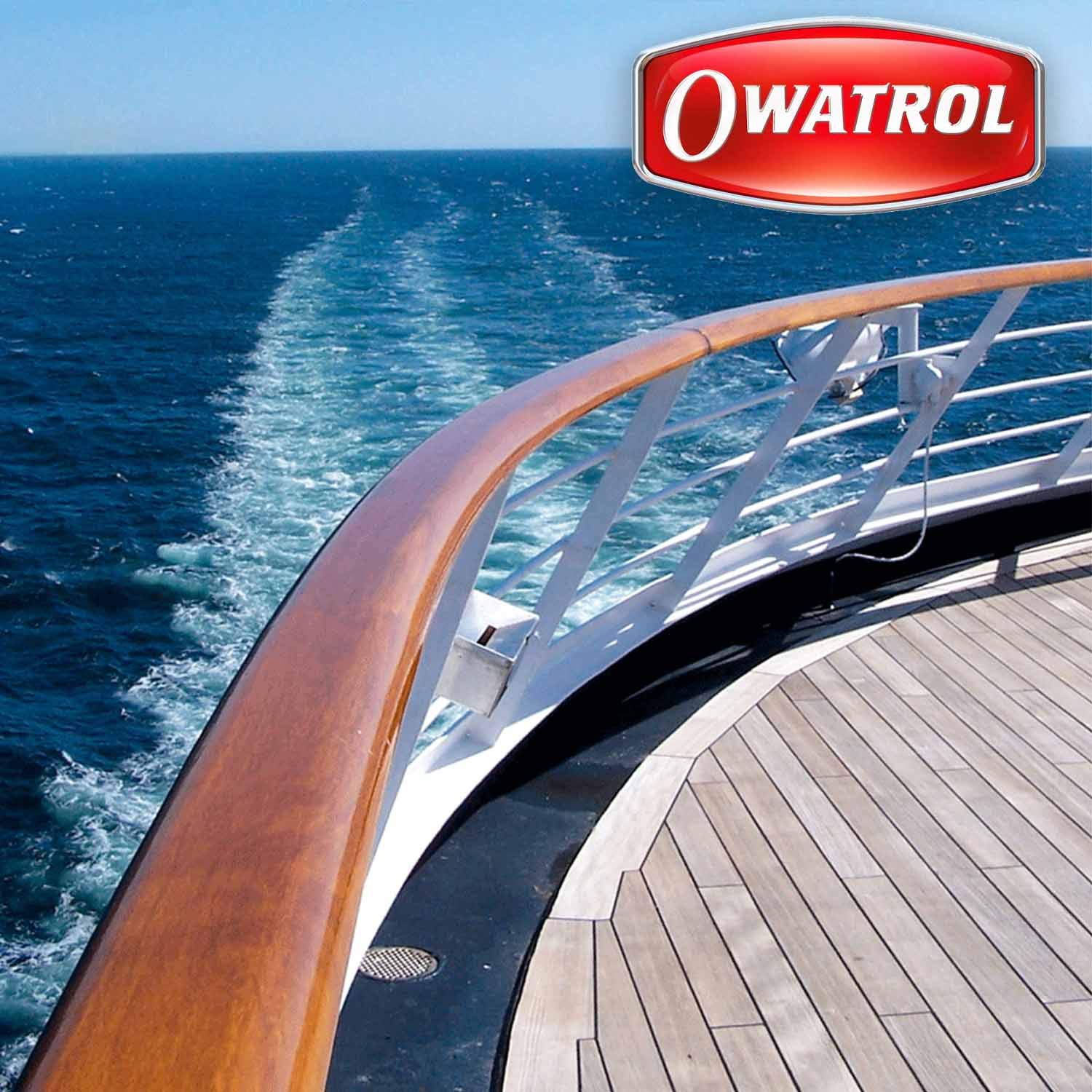 OWATROL® D1 - Olio saturatore trasparente opaco, Impregnate per legno, Protezione a lunga durata, per uso esterno e interno – Made in EU (2,5L + pennello)