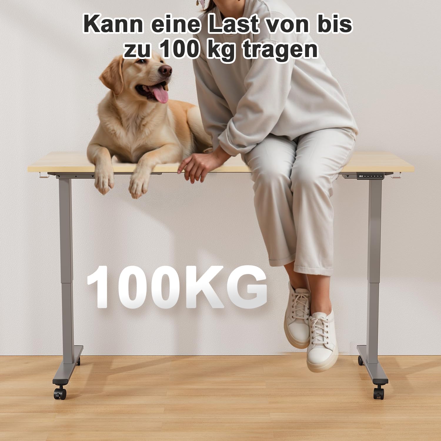 JUMMICO Höhenverstellbarer Schreibtisch Gestell mit 2 Starken Motoren, 100KG Belastbarkeit,Schreibtischgestell Höhenverstellbar mit 3 Speicherplätze & Type-C Ladeanschluss für Büro & Homeoffice