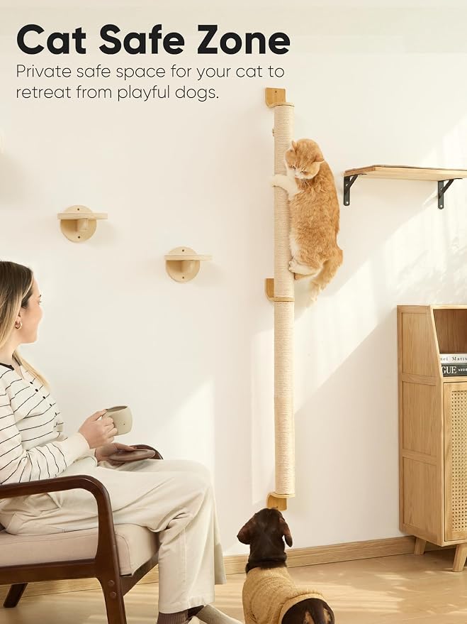 Rascador de pared para gatos FUKUMARU, 60 pulgadas incluido kit miniatura 5