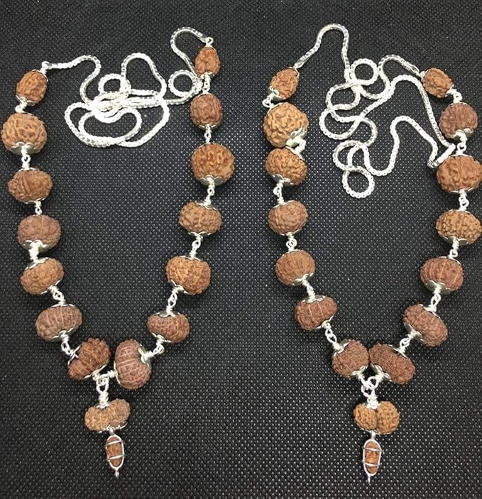 Mala Rudraksha 1 à 14 mukhi pour méditation et yoga