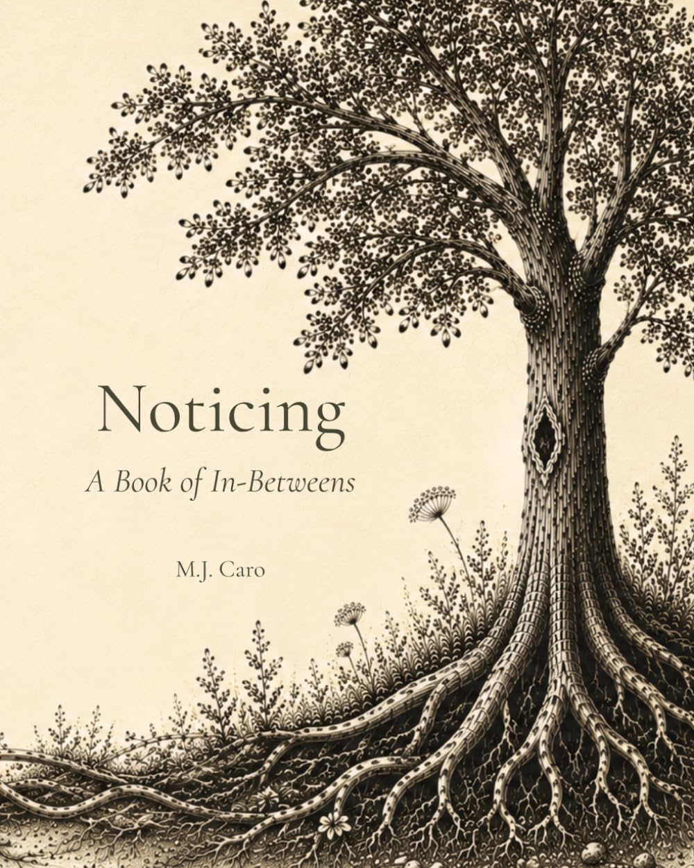 Noticing: A Book of In-Betweens (The Noticing Collection)