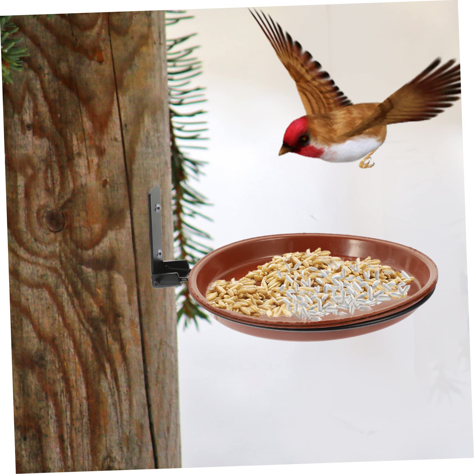 BESPORTBLE 4 Sätze Vogelhäuschen An Der Wand Futterspender Für Papageien Garten Vogel Behälter Vogelkäfigständer Vogelbadständer Vogeltränke An Deck Vogelhäuschen Für Draussen Plastik