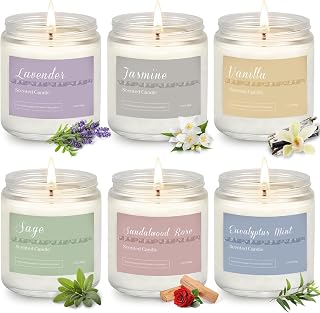 PELN 6-Pack Scented Aromatherapy Candles Gift Set - 37.8oz 300Hr Burn, Lavender Jasmine Vanilla Sage Sandalwood Rose Eucalyptus Mint for Women