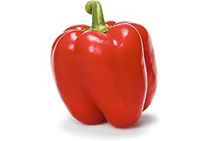 Organic Red Bell Pepper