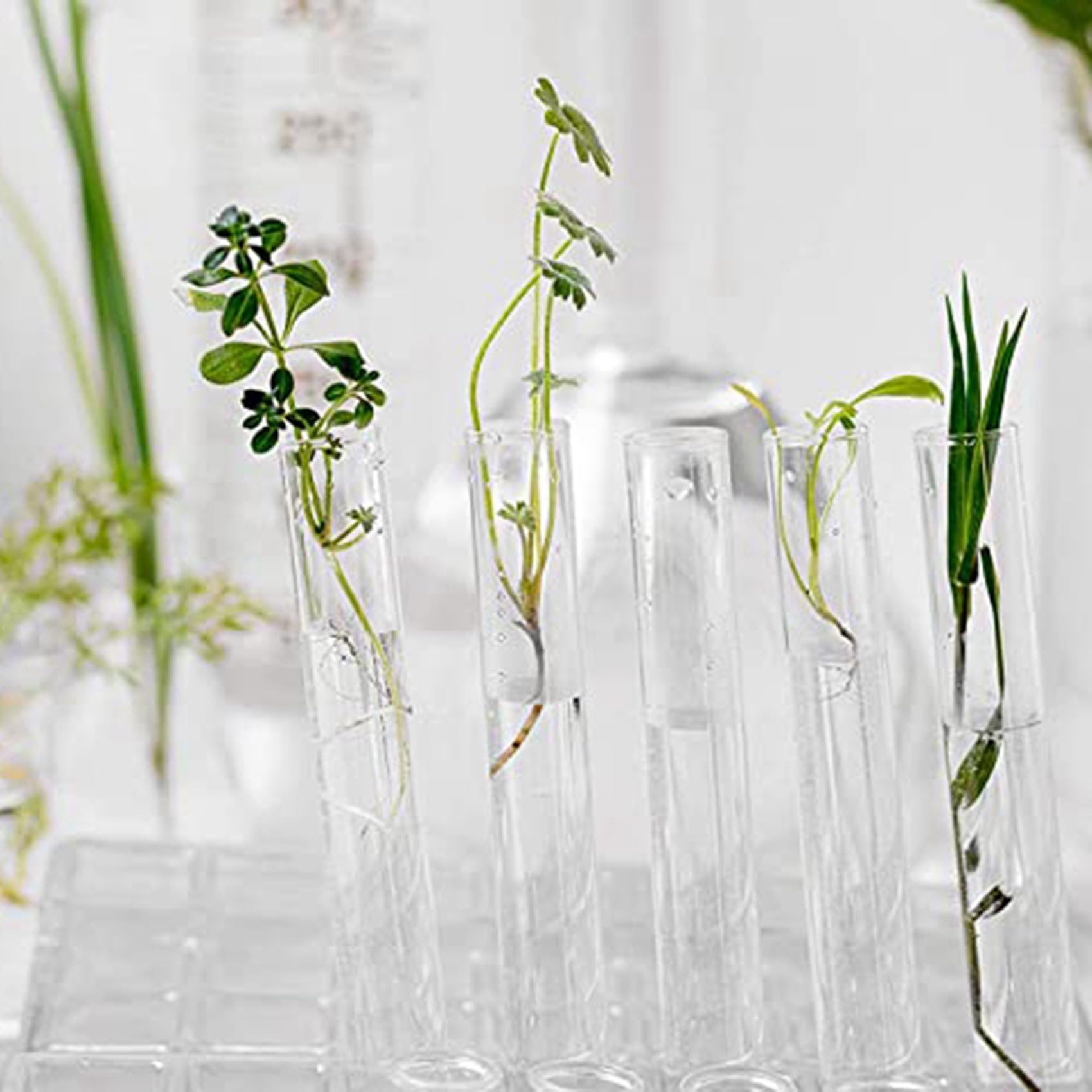 Paquete de 160 Tubos de Ensayo de Plástico con Corcho, Tubos de Ensayo de 20 Ml para Flores, para Manualidades, Dulces, Líquidos, Flores, 150 X 16 Mm