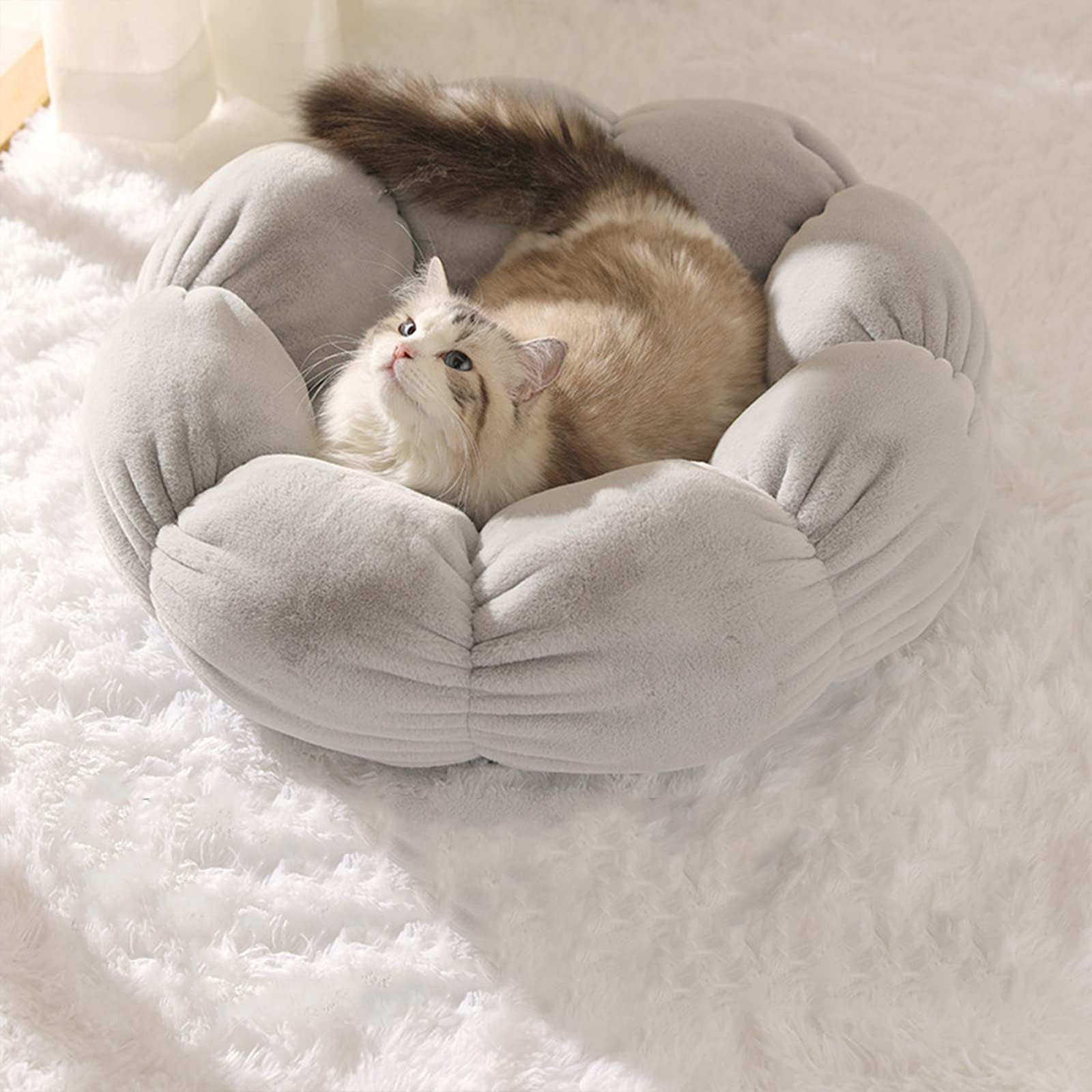 FGYZYP Flower Shaped Plush Dog Cat Bed, 22inch Winter Soft Pet Cushion Mat, Self Warming Donut Cat Bed Pad with Non-Slip Bottom Machine Washable for Sleep Warm Cat Kitten Puppy and Small Medium Dog