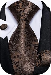 Paisley Mens Tie Set Silk Woven Jacquard Necktie and Pocket Square Cufflinks Gift Set Formal Bussiness Regular Tie