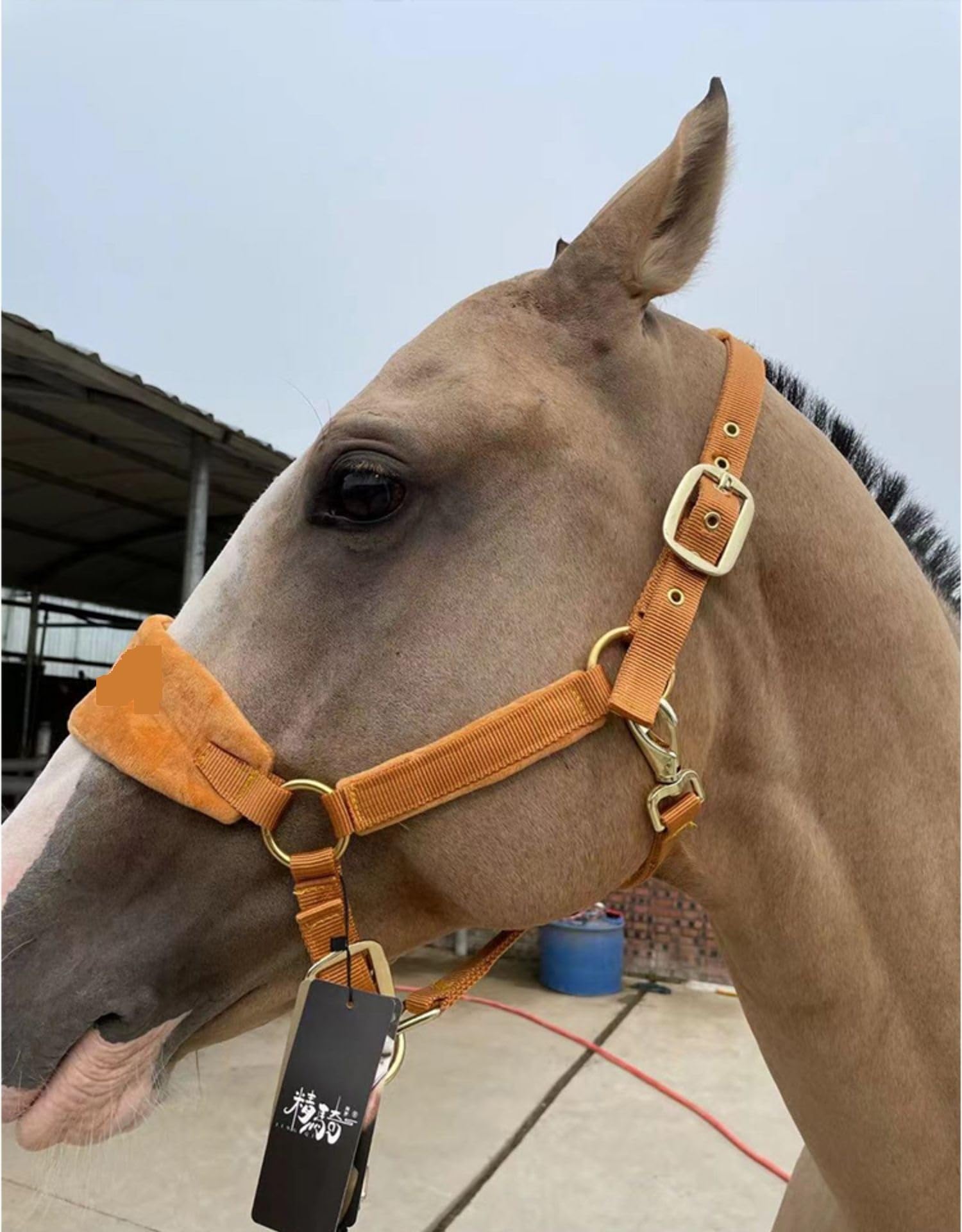Cabestros de caballo, brida, cabezal , equipo ecuestre grueso, accesorios, arnés for montar a , cabezales(Brown)