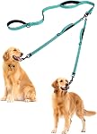 PetBonus Double laisse pour chien, Pas de double laisse en angle, Plomb d'entraînement réfléchissant, 4 Poignées rembourrées confortables pour 2 Chiens avec bol collapsible et sacs à déchets (Turquoise, Grand)