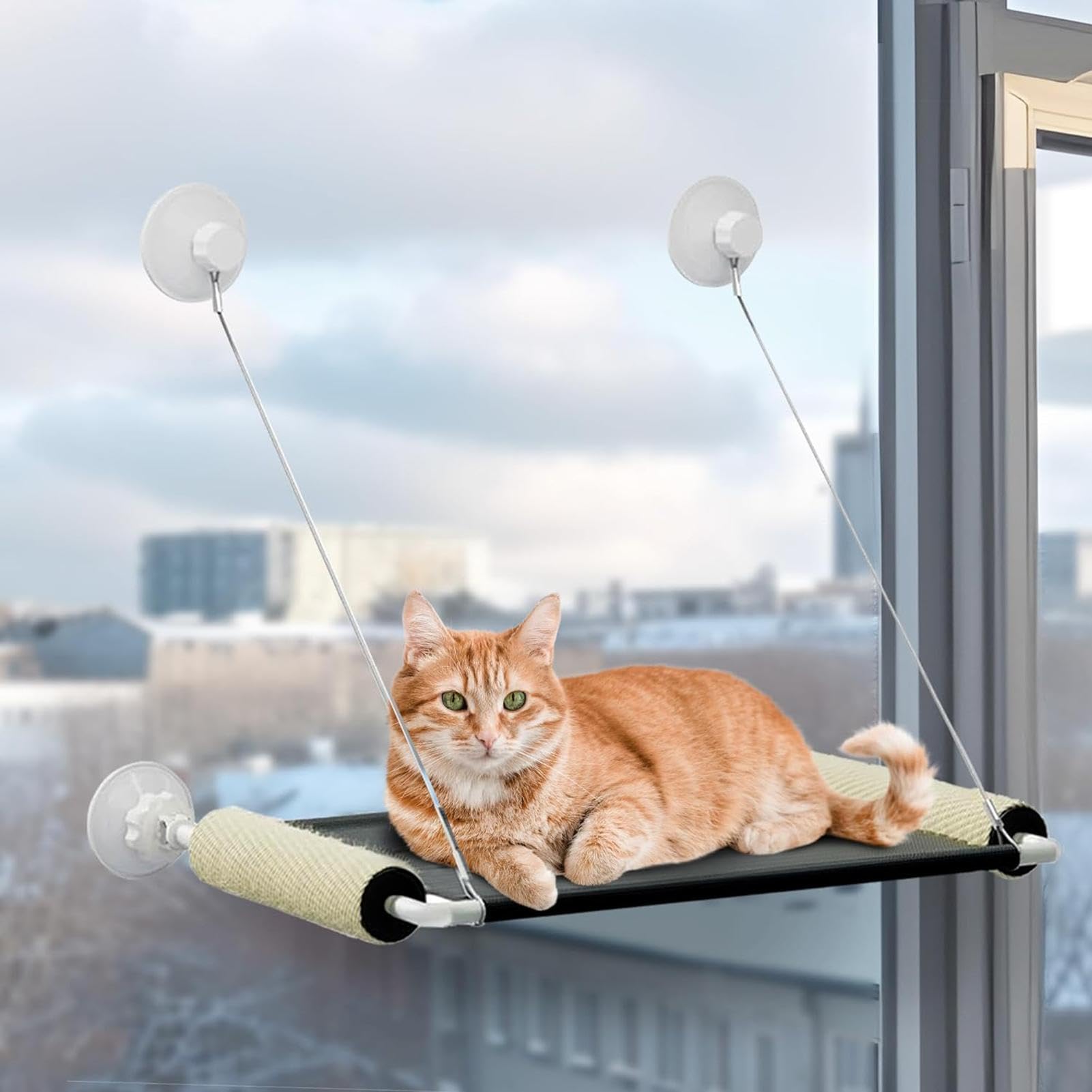 Perchoir de fenêtre pliable pour chat, siège de repos pour animal