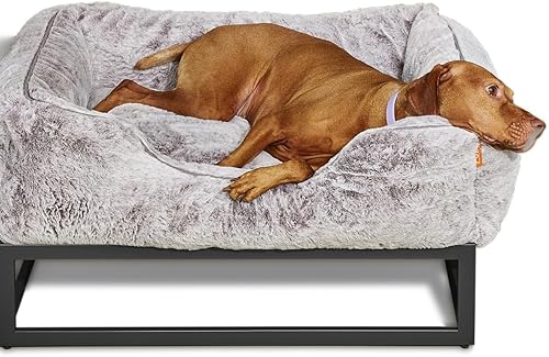 Miniatura 10 de FUZI Cama elevada para perro pequeña, camas elevadas de lujo, funda de cama extraíble y lavable a máquina, cama ortopédica para interiores y Gris