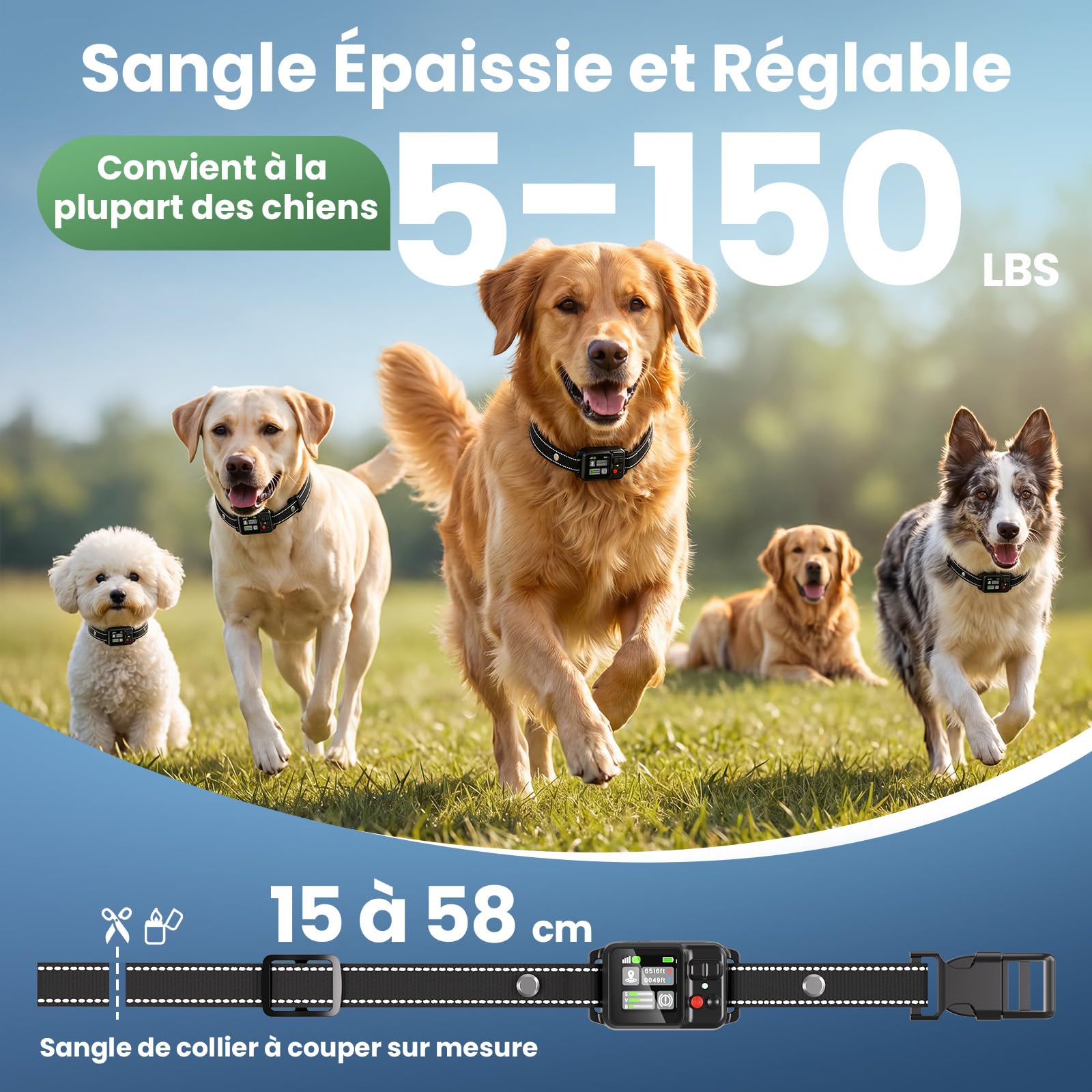 Collier Anti Fugue Chien sans Fil GPS, Collier GPS pour Chien avec Écran Couleur, Clôture GPS Intelligente Haute Précision, Réglable 30-999M, IPX7 Étanche, Utilisation Simple