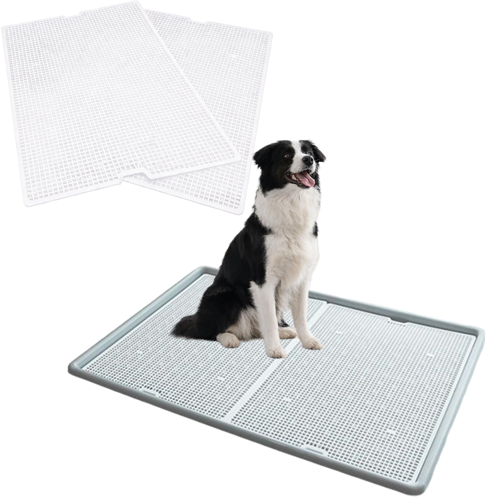 Amazon | 犬 トイレ トレー スーパーワイド 大型犬 特大 1020 x 710 x Amazon | 犬 トイレ トレー スーパーワイド 大型犬 特大 1020 x 710 x