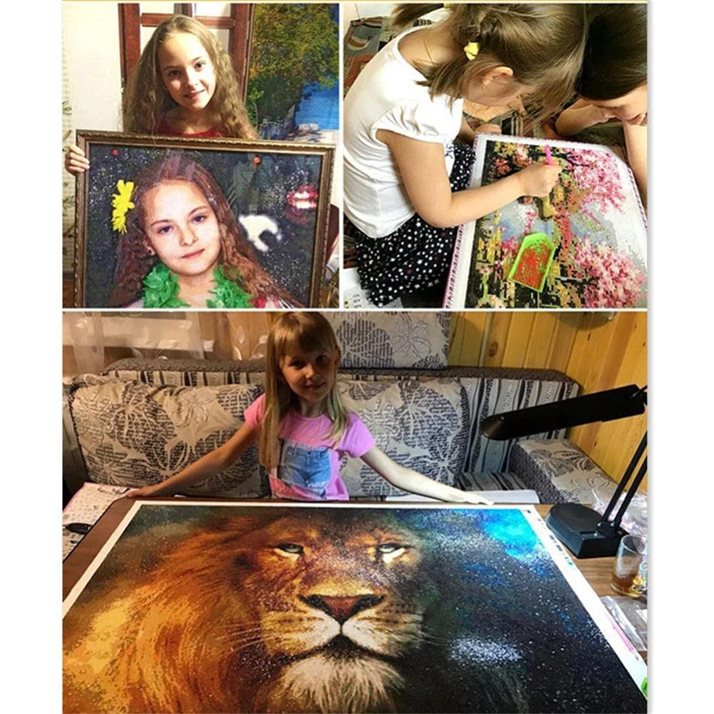 DIY Diamant Malerei Kit – 5D Baby Robbe Motiv, 30x40 Cm, Mit Vollem Werkzeugsatz Für Home Decor