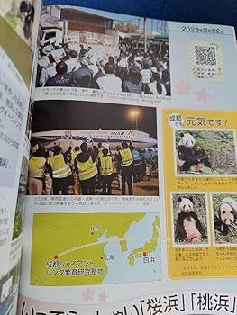 新発売　アドベンチャーワールド　楓浜　ダイカットカードケース カードダスドットコム 公式サイト | 商品情報 - ドラゴンボール