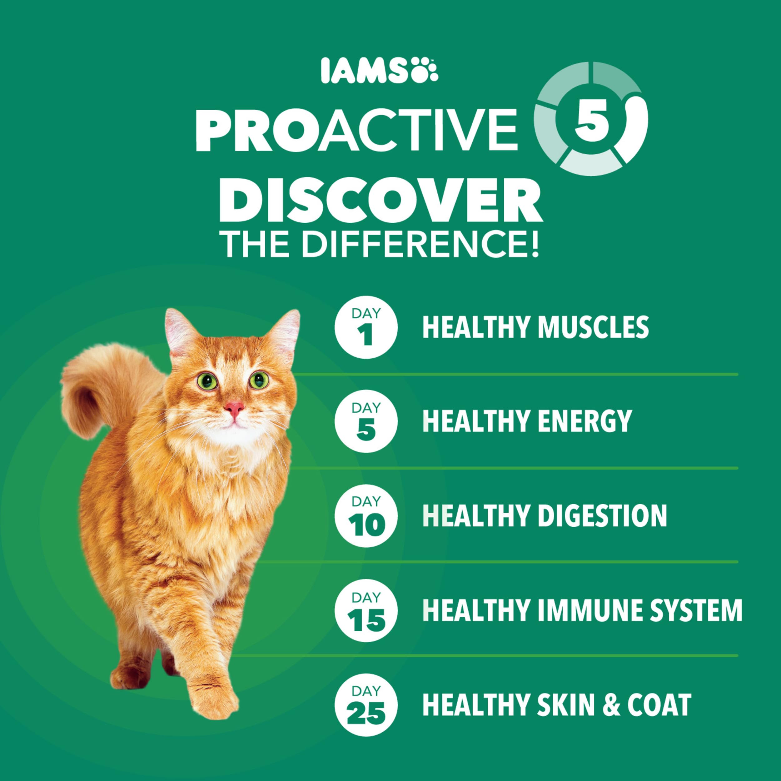 Iams Proactive Health - Alimentos Secos para Gatos Adultos