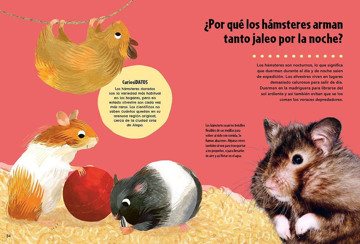 El gran libro de los grandes PORQUÉS: El libro de preguntas y respuestas definitivo para resolver todos los porqués (No ficción ilustrados)