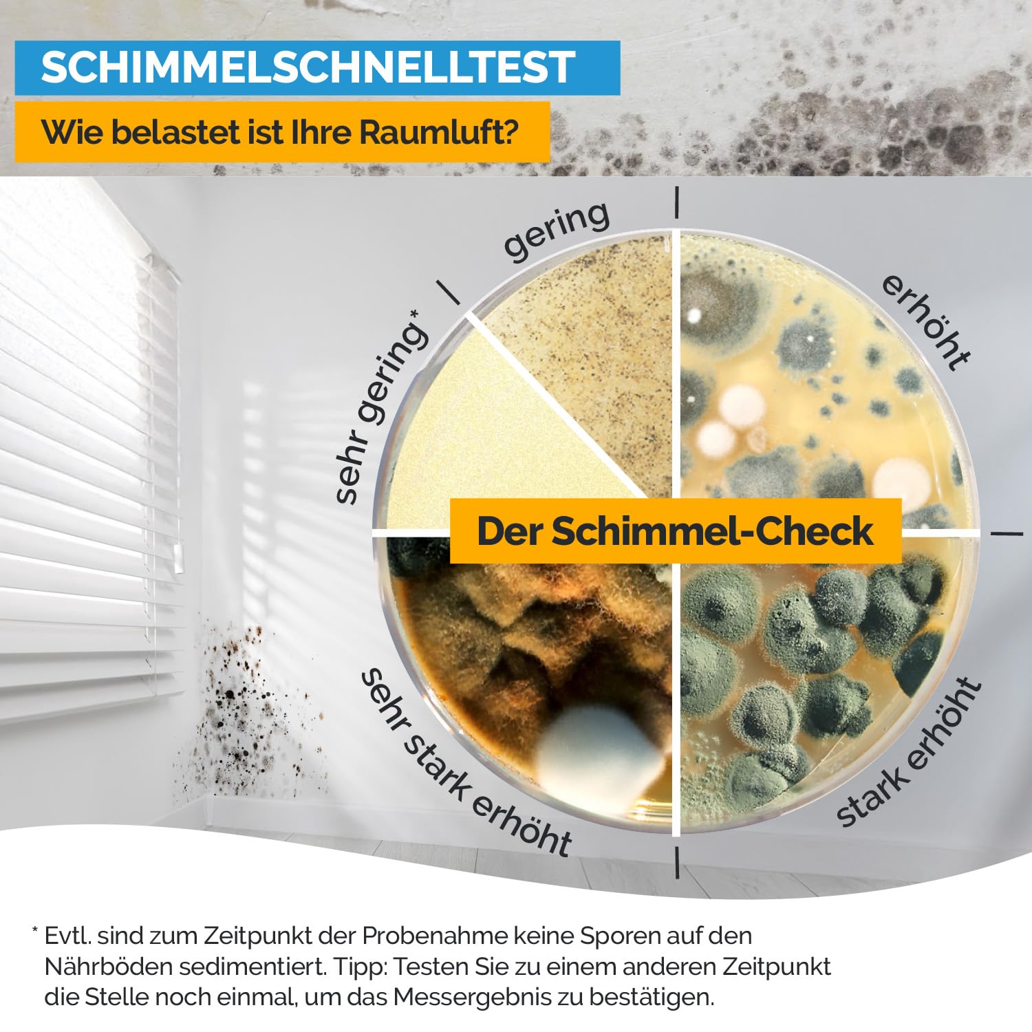 airself Schimmeltest Maxi-Set, 12 Nährböden | zur Untersuchung der Schimmelpilzbelastung in Innenräumen