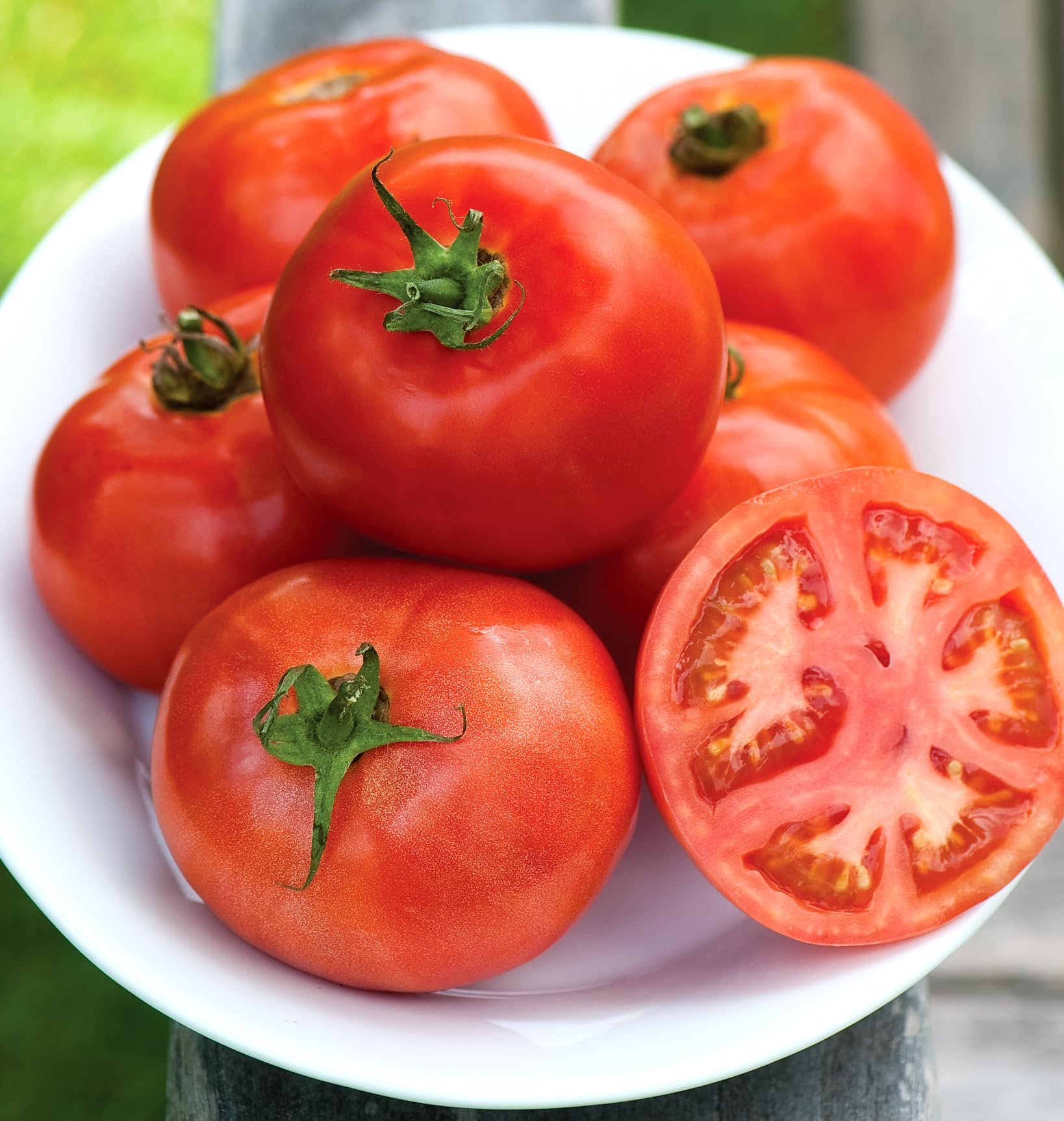 Amazon.com : Burpee 'Early Pick VF' Hybrid , Red Beefsteak Slicing