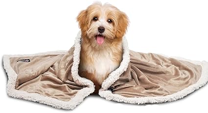 amazon puppy blanket
